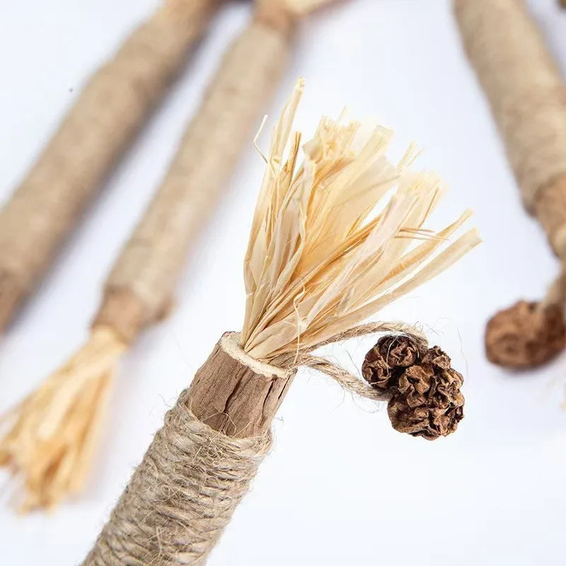 1/10 Silvervine Chew Sticks for Cats, Chew Toys for Kittens Teeth Cleaning, Calm Cat Anxiety, Aggressive Chewers Cat Dental Toy