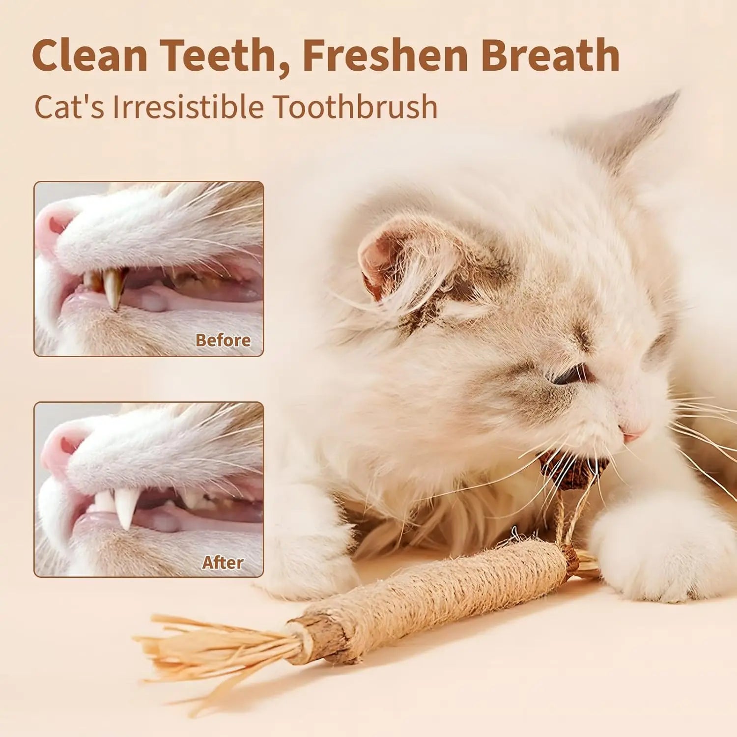 1/10 Silvervine Chew Sticks for Cats, Chew Toys for Kittens Teeth Cleaning, Calm Cat Anxiety, Aggressive Chewers Cat Dental Toy