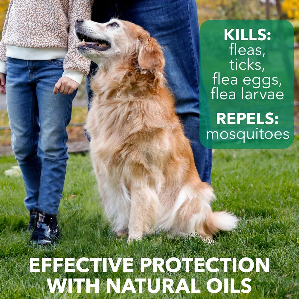 Natural Flea and Tick Dog Shampoo Plant Extracts Effective Mosquito Repellent Nourishing Coat 14oz