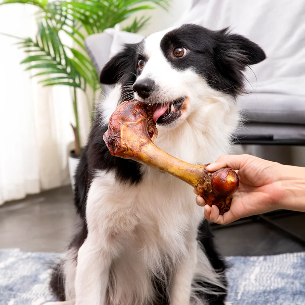 Large Cow Bone, All Natural Ingredients, Natural Dog Treats, Healthy, Easily Digestible