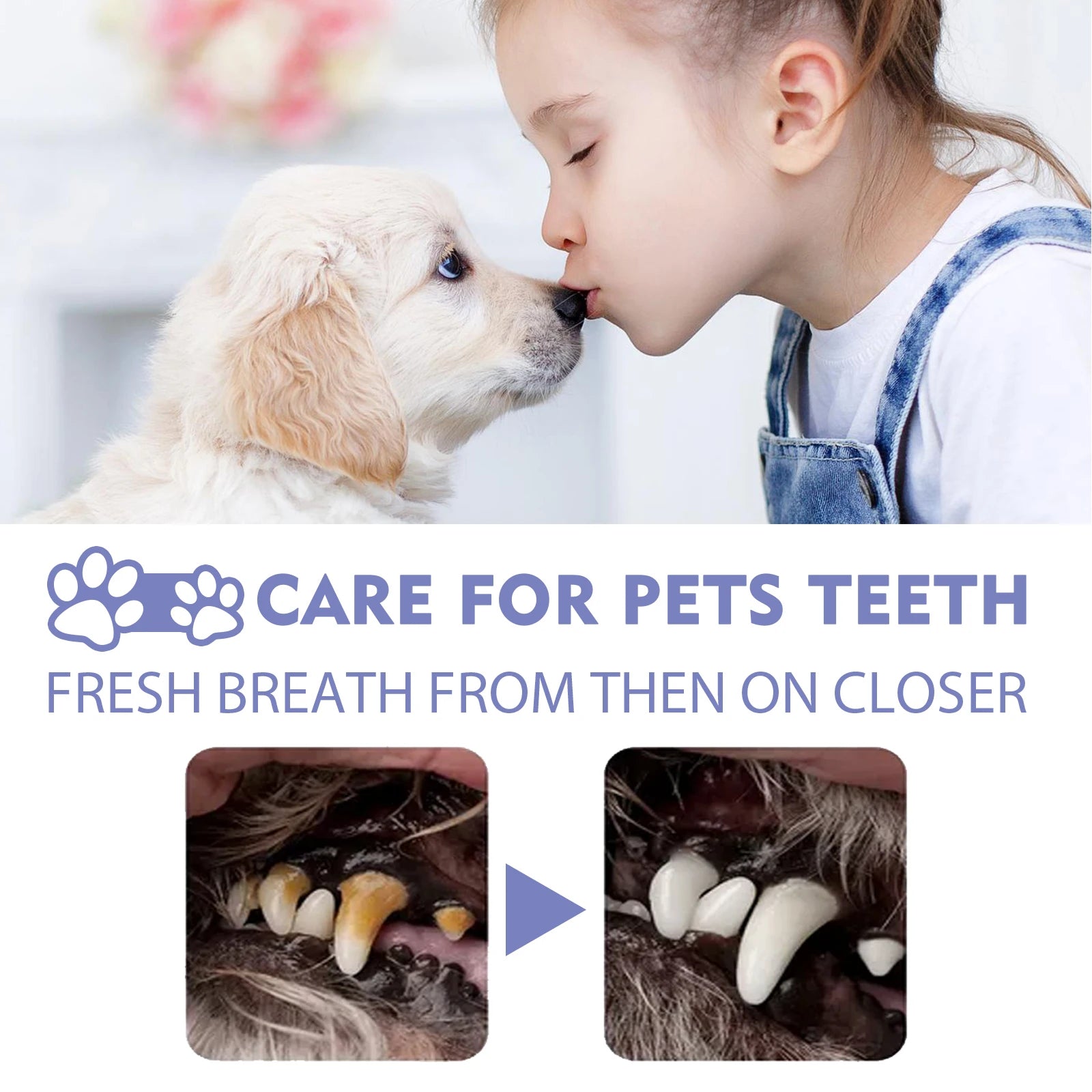 1-4PCS Yegbong Dog and Cat Teeth Cleaning Spray