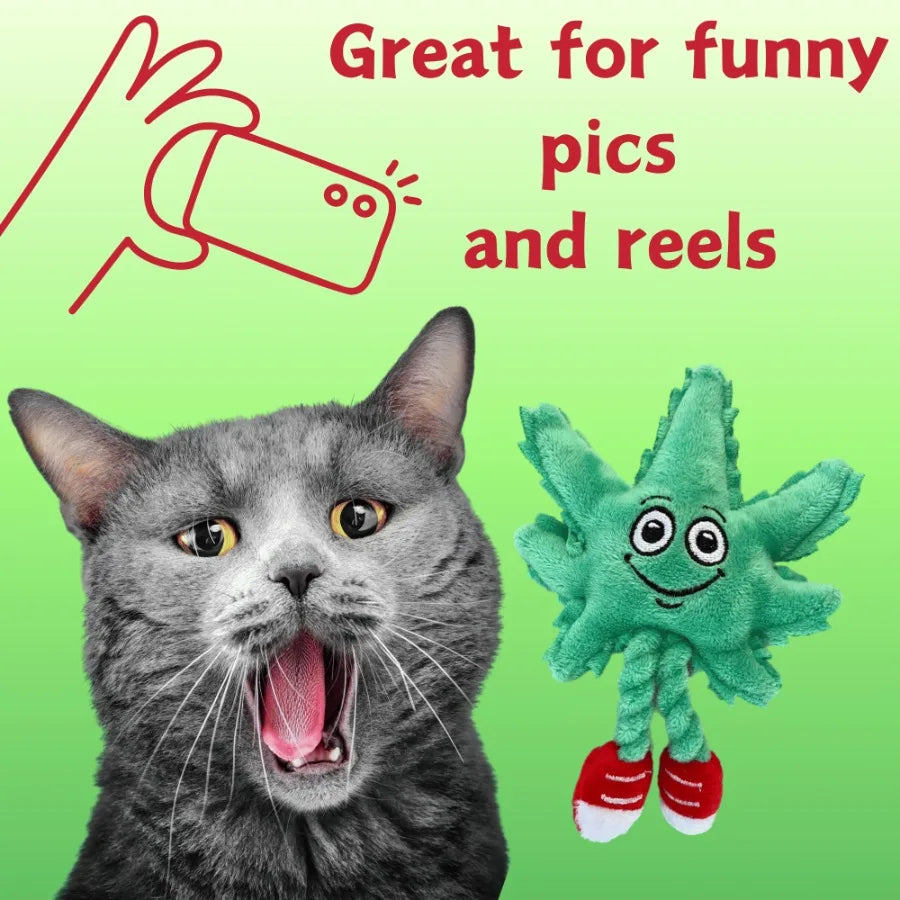 Marijuana Leaf Cat Toy Funny Catnip Weed Theme Toy Cool Plush