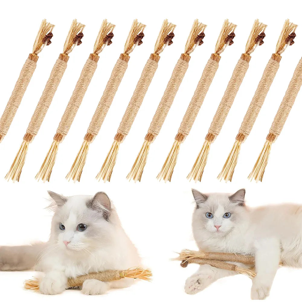 1/10 Silvervine Chew Sticks for Cats, Chew Toys for Kittens Teeth Cleaning, Calm Cat Anxiety, Aggressive Chewers Cat Dental Toy
