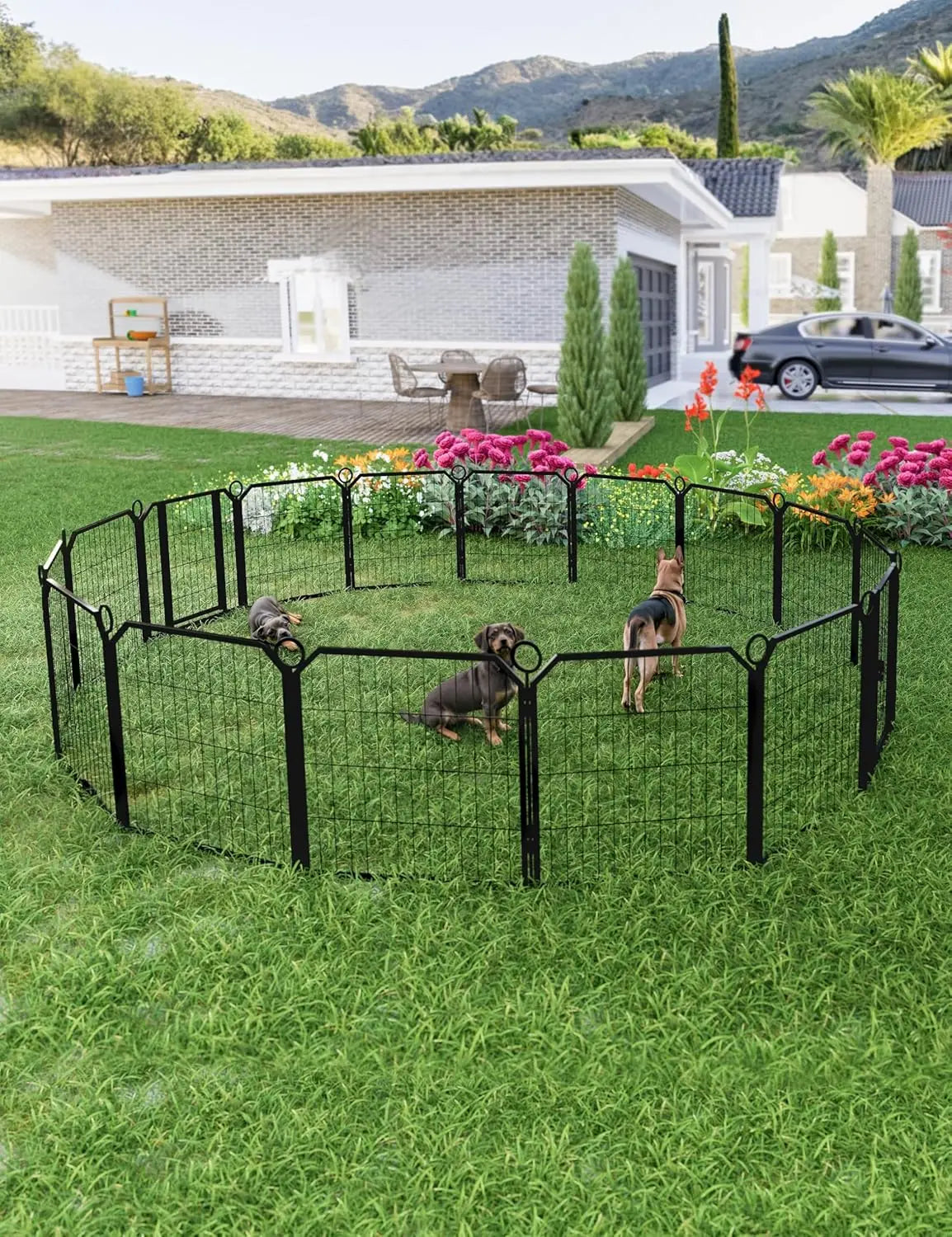 Heavy-Duty Portable Dog PlaypenDurable Metal Puppy Fence with Low-Step Entry – Indoor/Outdoor Pet Pen for Camping, Garden