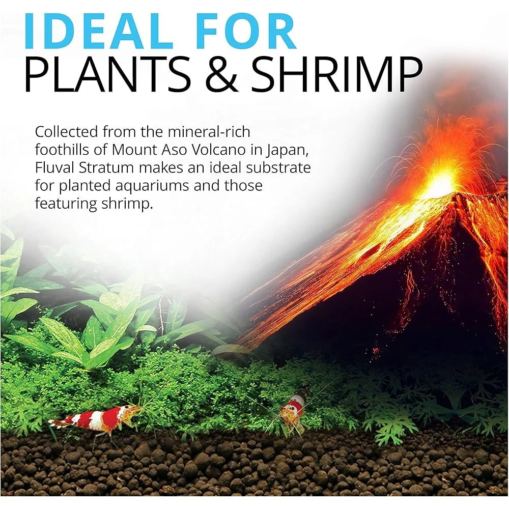 Freshwater Fish Tanks 8.8 lbs Plant Growth Volcanic