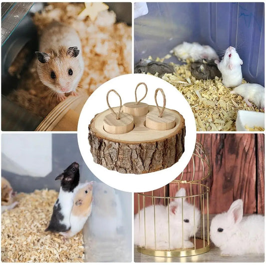 Hamster Foraging Toy – Wooden Treat Dispenser for Small Pet Enrichment