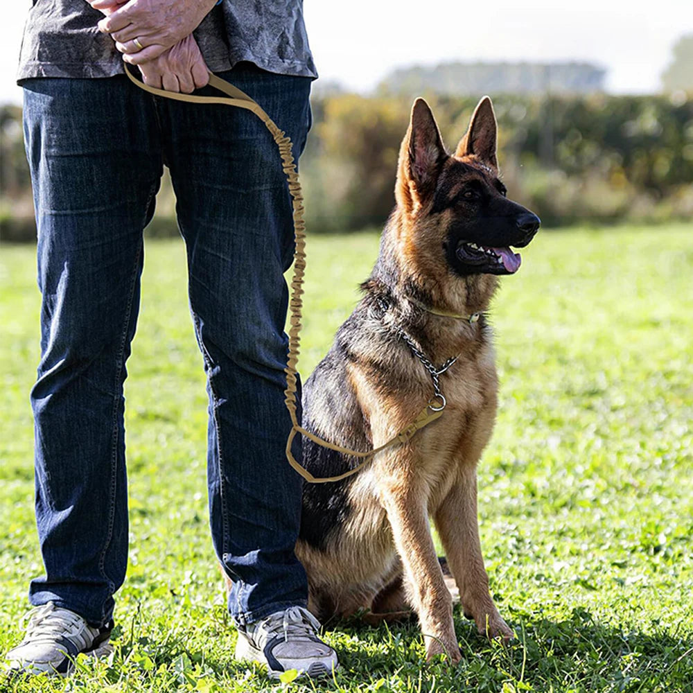 Military Dog Leashes Adjustable Leash Quick Release Elastic Rope With 2 Control Handle