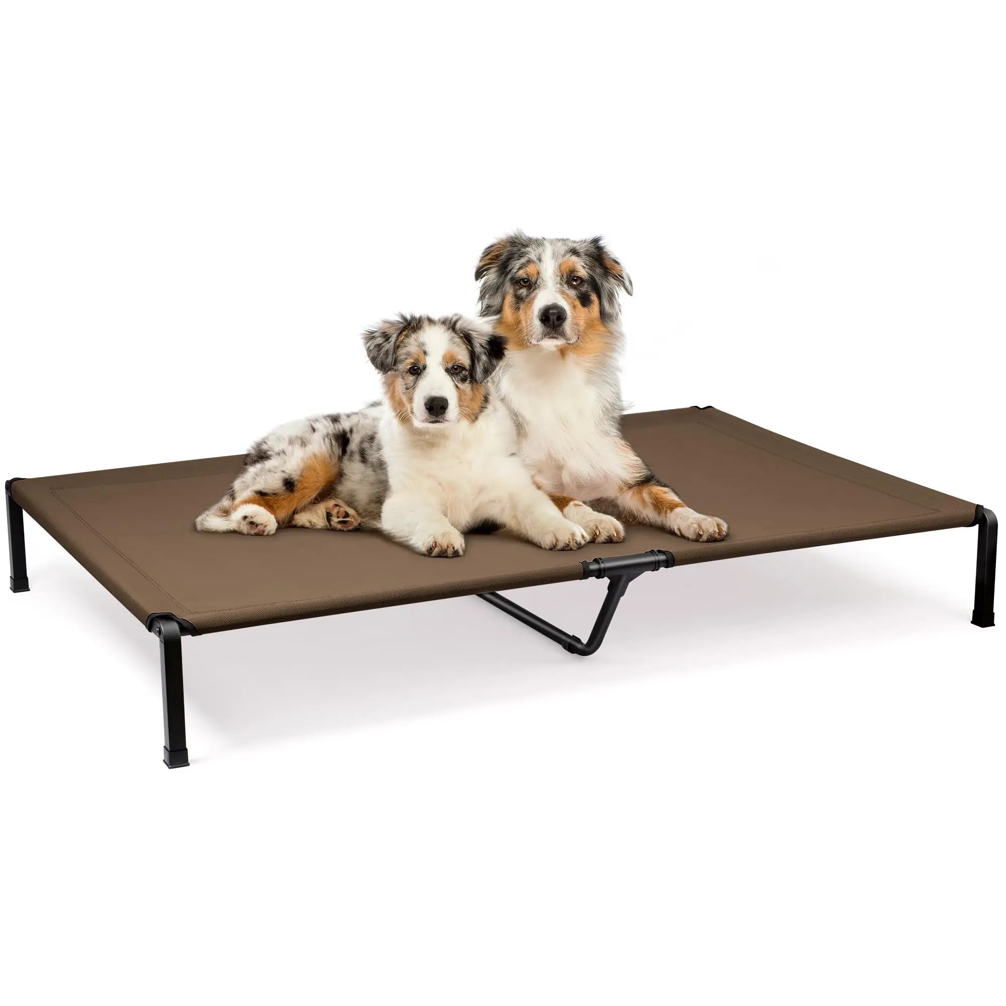 Portable Dog Cot for Outdoor Indoor Use